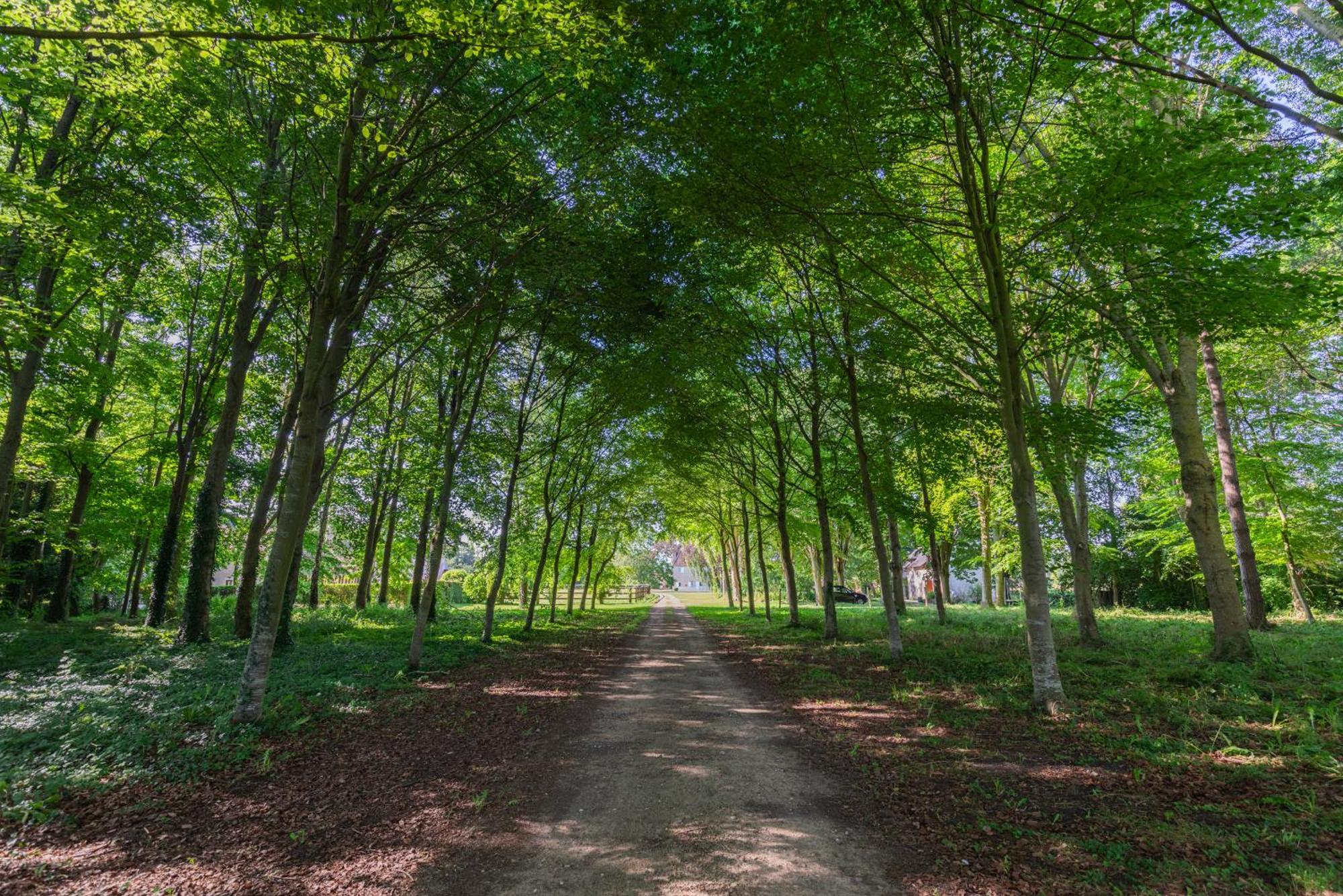 Maison "Jardin Gaillard" Bieville-en-Auge 외부 사진